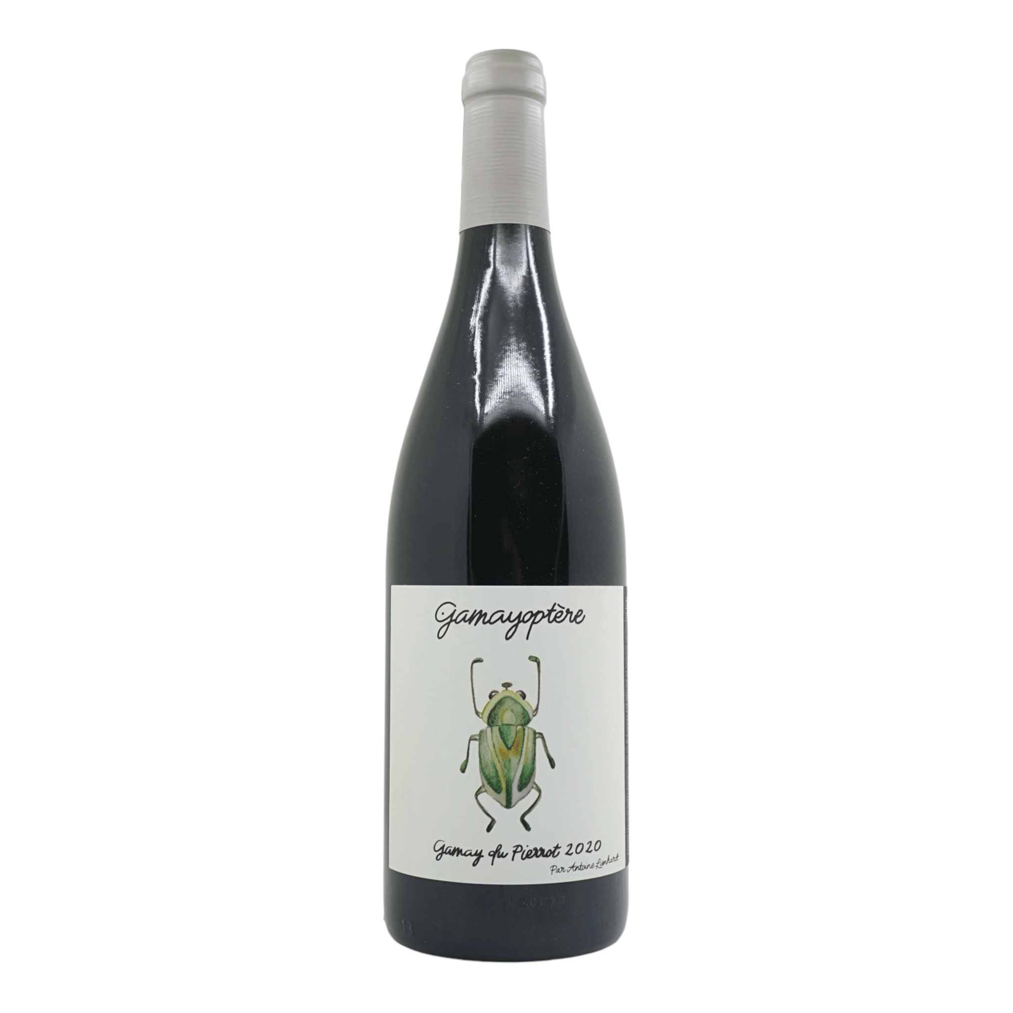 Antoine Lienhardt Coteaux Bourguignons 'Gamay du Pierrot' 2020