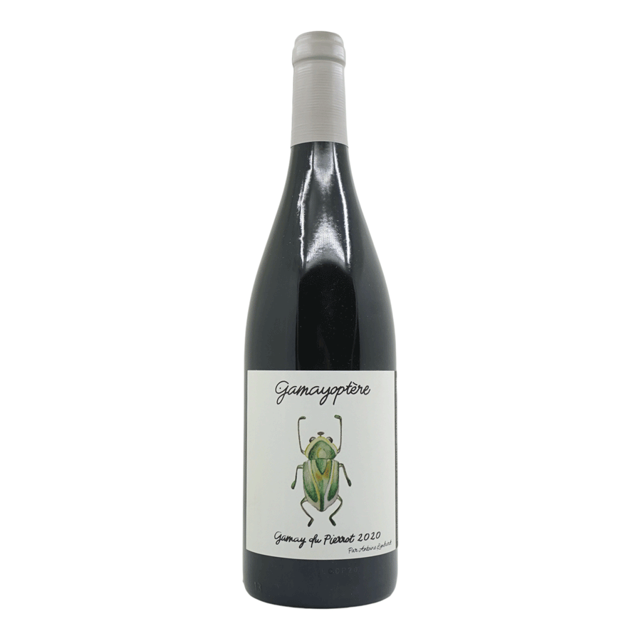 Antoine Lienhardt Coteaux Bourguignons 'Gamay du Pierrot' 2021