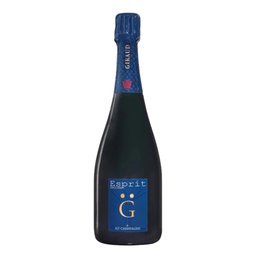 Henri Giraud Esprit